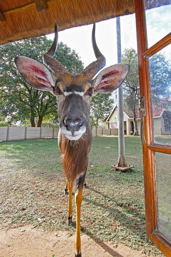 Fish Eagle Guest Farm Vila Phalaborwa Exterior foto